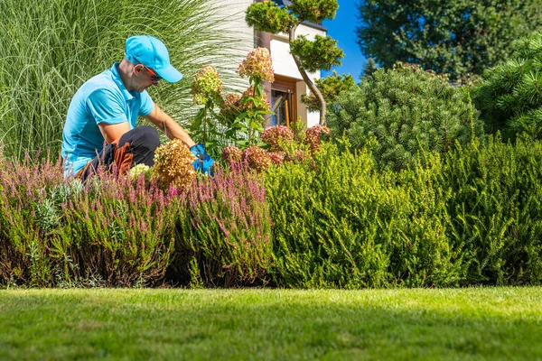 stock image Caucasian Professional Garden Worker in His 40s Performing Backyard Plants Maintenance