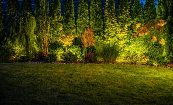 Matured Garden Modern LED Outdoor Lighting System. Electrical Outdoor Systems