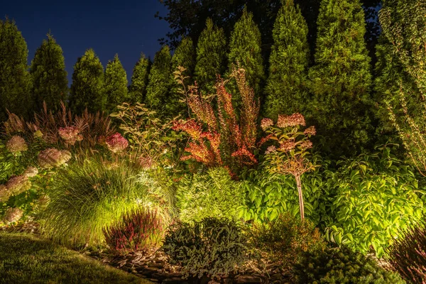 Jardin Arrière Éclairé Par Système Éclairage Led Moderne Lumières Extérieures — Photo