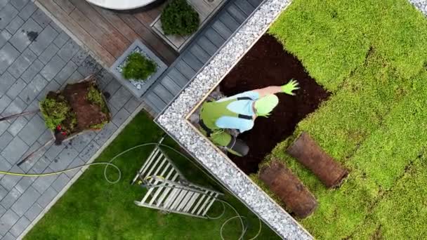 Installation Toit Sedum Sur Abri Jardin Effectuée Par Paysagiste Caucasien — Video