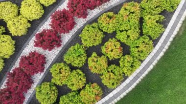 Residential Backyard Garden 'ın içindeki zarif renkli bitkilerin hava görüntüsü