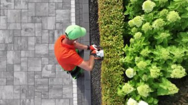 Kablosuz Elektriksiz Çit Kırpıcı Hava Görünümü ile Çalılar Şekillendiriliyor. Bahçe Sanayii TemasıName.