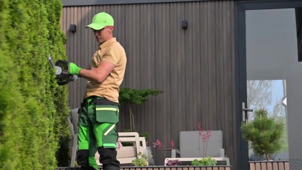 コードレス電気ヘッジトリマーを使用して40年代のThujaの緑の壁の形をした白人専門の庭師 — ストック動画