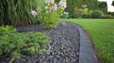 Arka bahçeye yeni ekilmiş dekoratif bitkiler. Yakın plan.