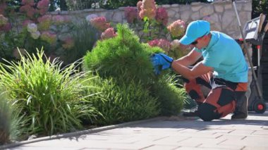 Kafkas Bahçe İşçisi Mevsimlik Bahçe Bitkileri Bakımı Yapıyor