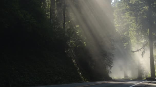 由海岸雾覆盖的加州公路101号场景 — 图库视频影像