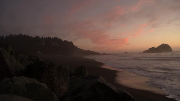 California Redwood Pacific Coast Scenic Sunset — Stock Video