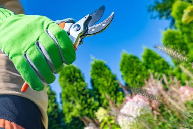 Bahçıvanlardaki Secateurs Aletleri Yakından. Bahçe Aletleri ve Ekipman TemasıName.