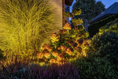 Bahçe Çiçekleri ve Diğer Bitkiler Açık Hava LED Işıklandırma Sistemi tarafından aydınlatıldı. Bahçe ve Bahçe Düzenleme Endüstrisi.