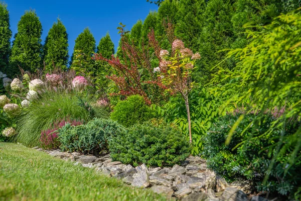 Scenic Residential Backyard Garden Sunshine Summer Weather — Stock Photo, Image