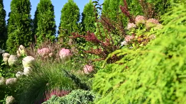 Çimenli Isıtıcı Fabrikalı Güzel Olgun Arka Bahçe Bahçesi Bahçe Peyzaj — Stok video