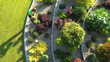 Kafkas Bahçıvanı, Sektörlerin Hava Görünümünü kullanarak Ölü Dalları Kesiyor