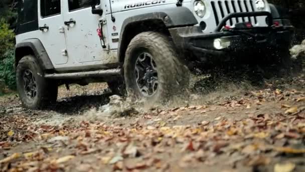 Novembro 2023 Cracóvia Polónia Jeep Wrangler Rubicon Veículo Tração Quatro — Vídeo de Stock