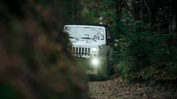 พฤศจ กายน 2023 คราค โปแลนด Jeep Wrangler Rubicon รถข บเคล — วีดีโอสต็อก
