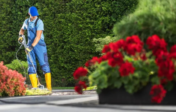 Caucasian Worker Powerful Pressure Washing Brick Garden Paths Stock Picture