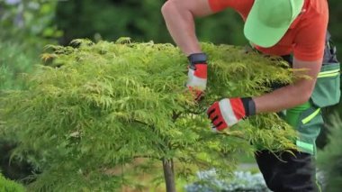 Bahçe Bakımı sırasında Kafkasya Bahçe Temizleme Çalısı 'na yakın çekim. Profesyonel Peyzaj Bahçe Hizmetleri.