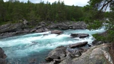 Crystal Clear Nehri 'nin, Dağ Ormanı' ndaki Kayalıkların Üzerinden Dalgalanan ve Düşen Yakınlığı. Norveç 'in Güzel Vahşi Doğası.
