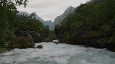 Norveç Dağları 'nda Yosun kaplı kayalar ve yoğun bitki örtüsüyle birlikte Vahşi Orman. Doğa Teması.