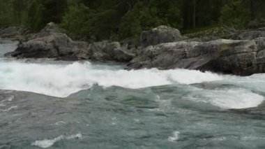 Dağ Ormanı 'ndaki Vahşi Su Akıntısı' nın Kapanışı. Norveç Peyzajı. Vahşi Doğa Teması.