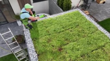 Küçük Özel Bahçede Yeşil Çatı 'yı sulayan Profesyonel Bahçıvanın Hava Görüntüsü. Güzelce dizilmiş Çimlerin Yakınlaştırılması.