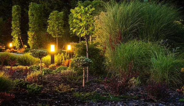 Ledの屋外の庭の照明によって照らされる美しい注目された裏庭の庭 ストック写真