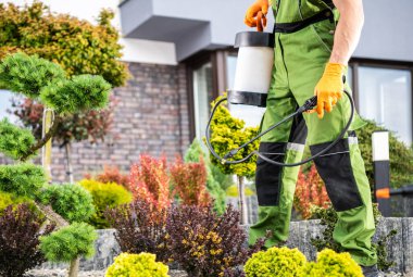 Beyaz bahçıvan koruyucu giysiler içinde ağaçlara ve bahçedeki diğer bitkilere böcek ilacı sıkıyor..