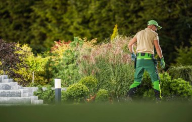 Professional Caucasian Gardener in His 40s in Green and Black Performing Garden Maintenance clipart