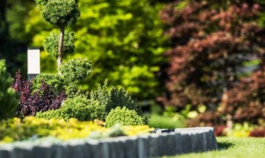 Evergreen Trees ve Stone Sınırı olan yemyeşil bir bahçe.