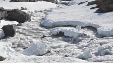 Dağ Nehri İlkbaharda Karda Akıyor