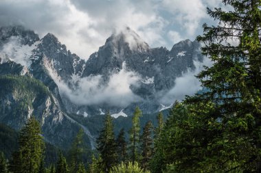 Slovenya 'da karla kaplı zirveleri ve etraflarında dönen kalın bulutlarla manzaralı bir dağ manzarası. Ön planda yoğun bir çam ağacı ormanı yer alır ve resme derinlik ve doku katar. Bulutlu gökyüzü dramayı arttırır. 