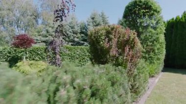 Yaz aylarında yemyeşil ağaçlı Konut Bahçesi