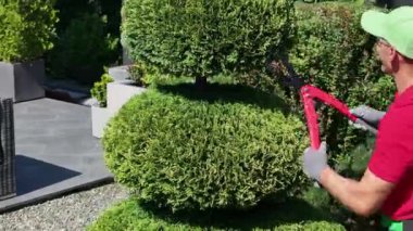 Bahçe İşçisi Arka Bahçedeki Büyük Çalıları Kırpıyor