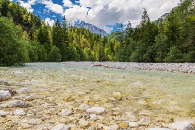 Slovenya 'nın görkemli dağlarıyla çevrili Soca Nehri, gür ormanlardan akıyor.