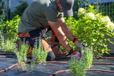Profesyonel Bahçe İşçisi Arka Bahçe Sulama Kurulumu
