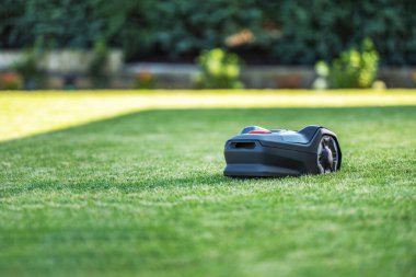 Robotik bir çim biçme makinesi güneşli bir günde yemyeşil bir çimenlikte düzenli olarak gezinir. Makine çimlerin üzerinde pürüzsüzce hareket ediyor, kusursuz bir manzarayı korumak için etkili bir şekilde buduyor. Çevreleyen yeşillik, olay yerine canlı bir dokunuş katıyor. 