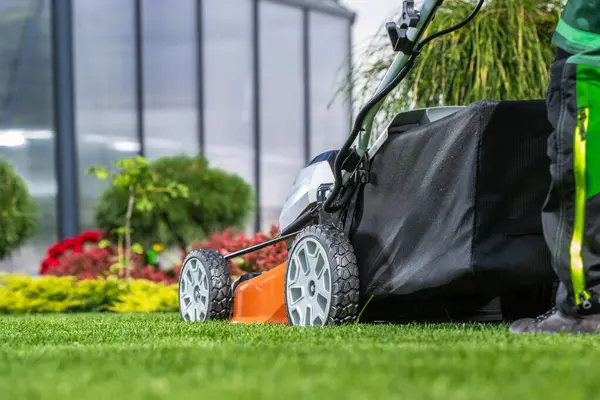 stock image A person mows a well-maintained lawn surrounded by vibrant flowers, with a lawnmower in use during a sunny day.