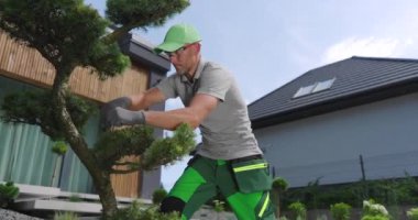Bir bahçıvan, açık gökyüzünün altında iyi tasarlanmış bir yerleşim alanındaki bonsai ağaçlarını ustalıkla buduyor..