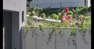 A gardener tends to vibrant plants in a contemporary outdoor area, enhancing the urban landscape with floral life.