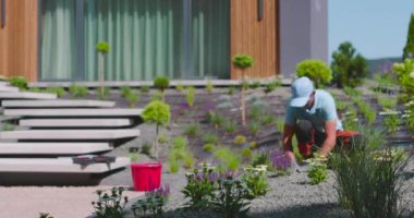 Bir kişi çağdaş bir bahçede çiçeklerle ilgileniyor, bitkileri dikkatlice düzenliyor ve damlama sulama sistemi inşa ediyor.