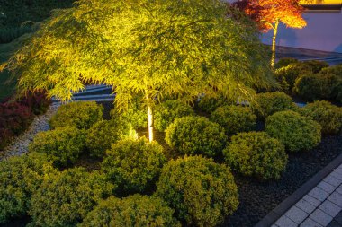 Geceleri hafif ışıklandırmayla aydınlatılan düzgün budanmış çalılar ve canlı ağaçlar içeren huzurlu bir bahçe..
