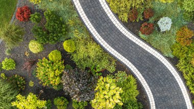 Çeşitli bitki ve çalılarla dolu huzurlu bir bahçe dolambaçlı bir yol için renkli bir zemin oluşturur..