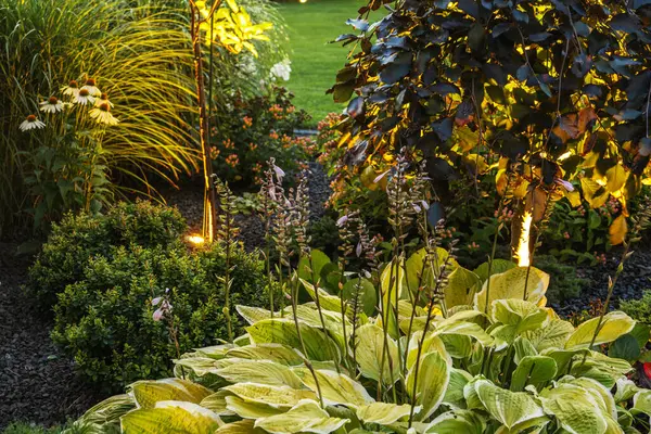 stock image A tranquil garden features vibrant foliage and soft glow from lights, creating a peaceful evening atmosphere.