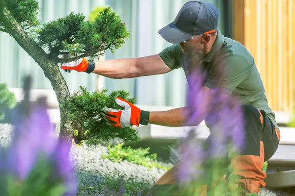 stock image A gardener carefully prunes a tree while surrounded by blooming flowers in a peaceful outdoor setting.