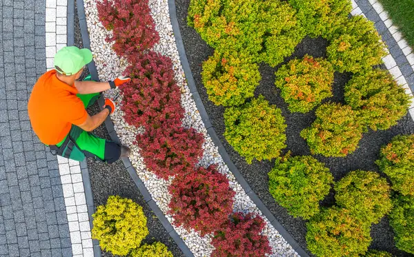 stock image A gardener in bright attire is pruning vibrant shrubs in a meticulously designed garden surrounded by stone paths.