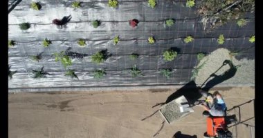 Yeni Tasarlanmış Konut Bahçesinde Çiçek ve Bitkilerin Havadan Görünümü