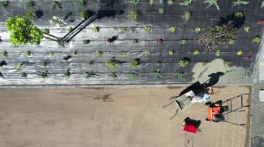 İşçiler yeşil ekerek ve açık bahar gökyüzünün altındaki toprağı işleyerek bir bahçe alanı hazırlıyorlar. Süreçte verimli peyzaj çabaları sergileniyor.