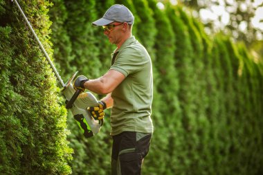 Bahçıvan, güneşli bir günde, yeşilliklerle çevrili, yemyeşil bir arka bahçede elektrikli budama makinesi kullanarak, ustaca uzun bir çiti buduyor..
