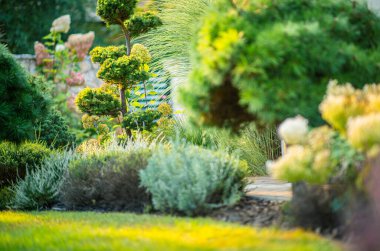 Huzurlu bir bahçe yolu titizlikle şekillendirilmiş çalılar ve canlı çiçeklerle kaplı güneşli bir günde sakin bir atmosfer yaratıyor..