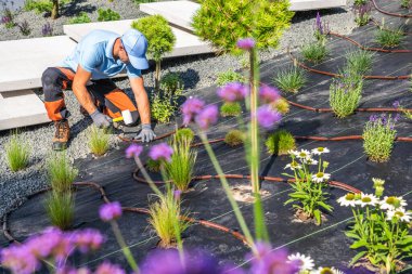 Bir bahçıvan güneşli gökyüzünün altındaki sulama sistemini yönetirken güzel düzenlenmiş bir bahçeye çeşitli çiçek ve bitkiler ekiyor..