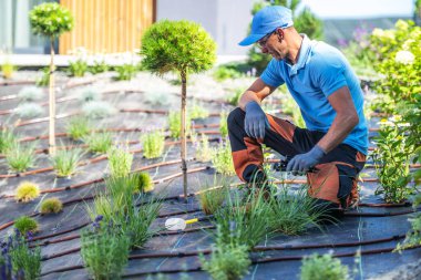 Bir bahçıvan çatıdaki bahçede diz çöküyor. Güneşli bir günde yemyeşil ve dekoratif ağaçlarla çevrili çeşitli bitkileri dikkatlice koruyor..